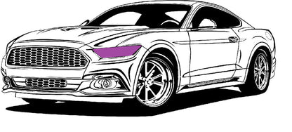 ppf headlights